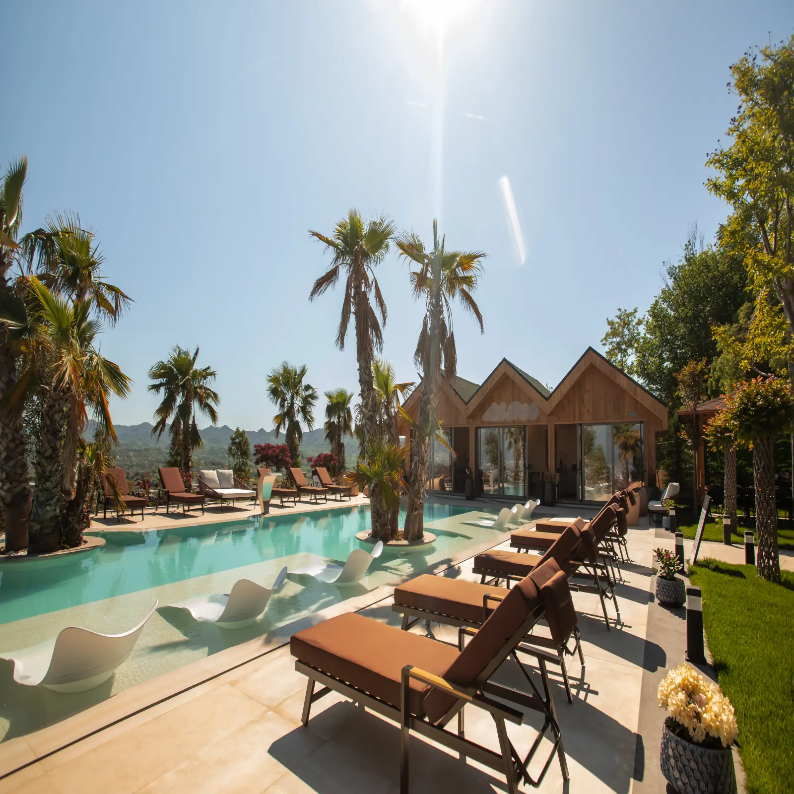 Pool & Relax